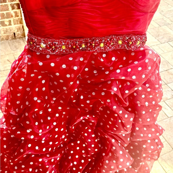 Flamenco or Queen of Hearts layered dress w tulle skirt - Picture 7 of 7